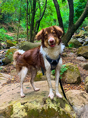 Aventura Hike 3