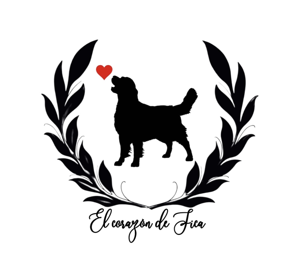 Logo El Corazón de Fica